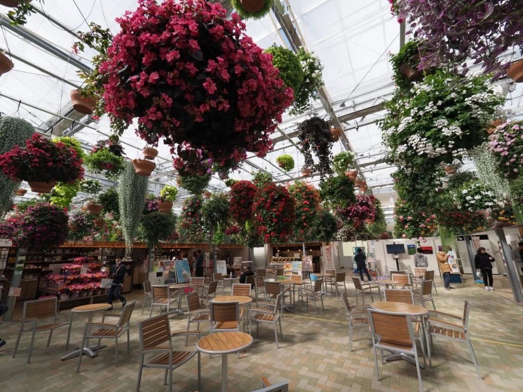 🌉 미시마 스카이워크 이미지 8